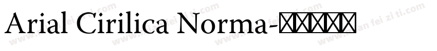 Arial Cirilica Norma字体转换